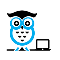 Blue and black owl with open laptop